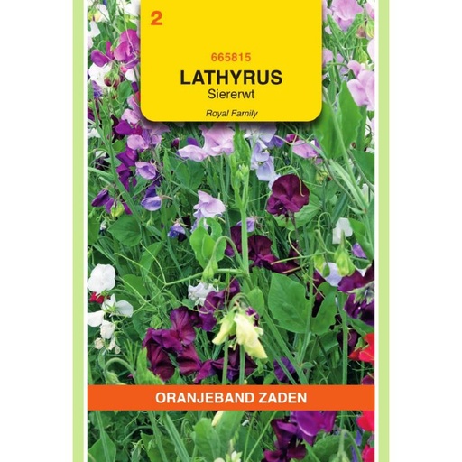 [BR_155702] OBZ Lathyrus, Reuk- of siererwt Royal gemengd