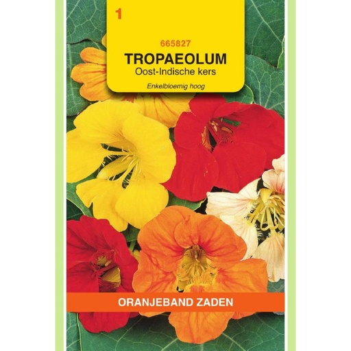 [665827] OBZ Tropaeolum, Oost-Indische kers enkelbloemig hoog