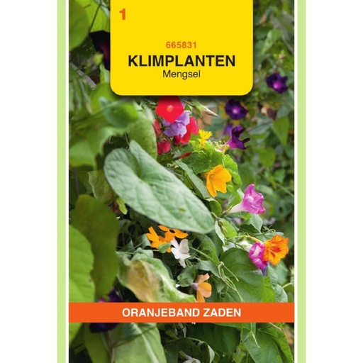 [BR_155709] OBZ Klimplanten mengsel