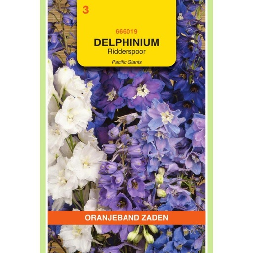 [BR_155718] OBZ Delphinium, Ridderspoor Pacific Giants