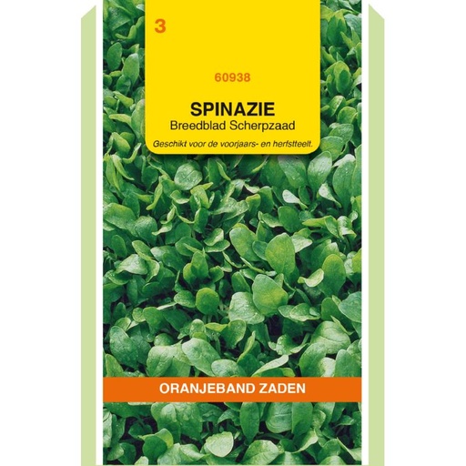 [BR_155738] OBZ Spinazie Breedblad Scherpzaad, 50g