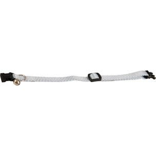 [BR_156547] Katten halsband bel L blauw 30 cm