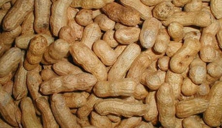 [9340] Doppinda's buitenvogels 10kg