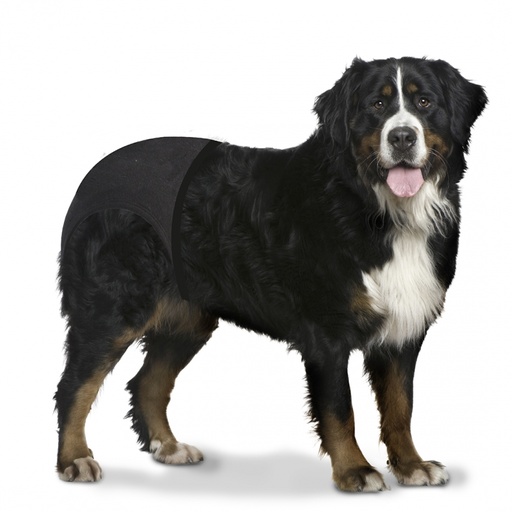 [BR_159828] Hondenbroekje XXL - 60-70cm