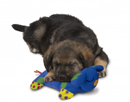 [BR_162930] Puppy cuddle pal