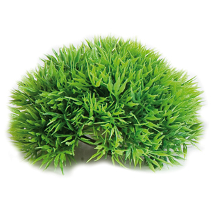 [406410] Aquaplant Mosbal 12cm.