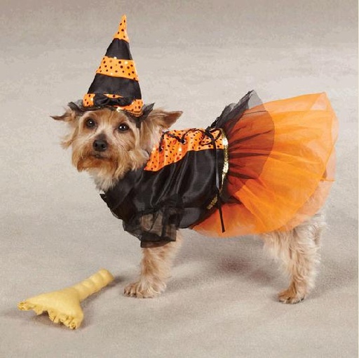 [BR_168523] Little Witch kostuum M
