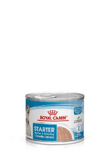 [240102] ! Royal Canin Mousse Mother & Babydog 195 gr