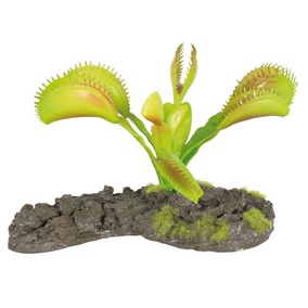[BR_169642] TERRA DECO VENUS 8CM