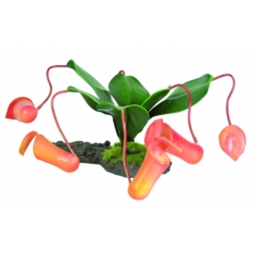[BR_169643] TERRA DECO PITCHER PLANT 8CM