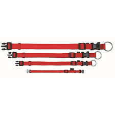 [BR_170299] Halsband 40 mm 55-75cm ROOD