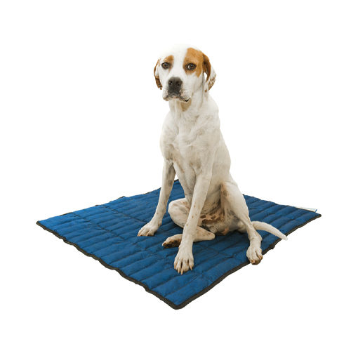 [BR_170575] Aqua coolkeeper Mat XL Cool Blauw