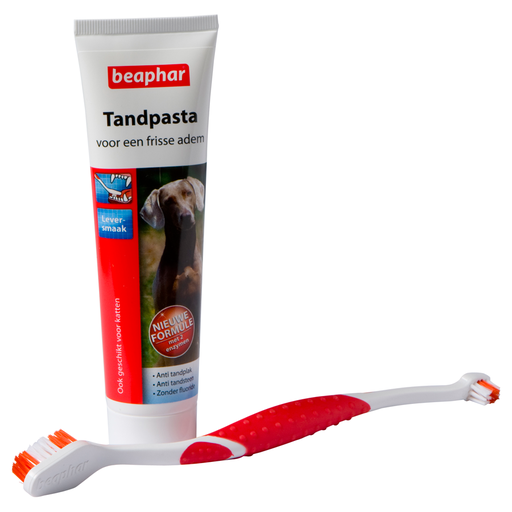[BR_171562] Combipack tandpasta + borstel