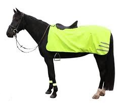 [BR_171657] Uitrijdeken Reflecterend Pony