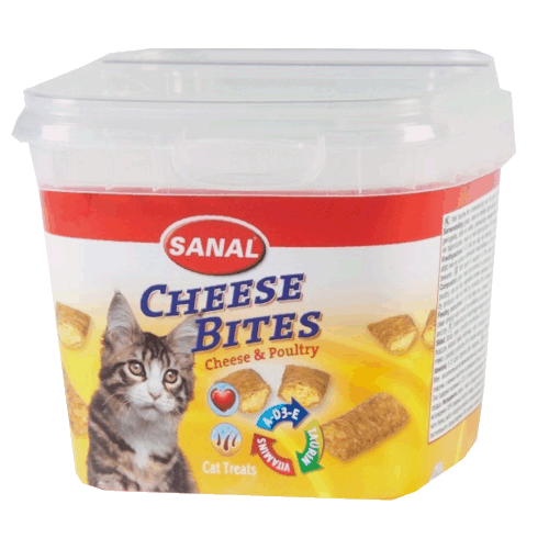 [021 4893] Cheese Bites cup 75g