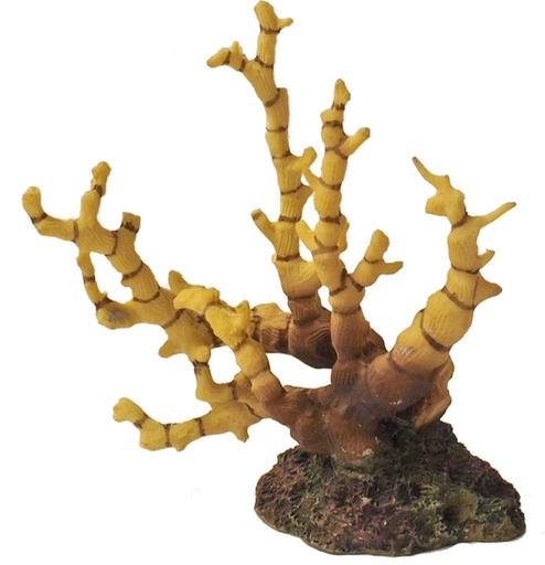 [BR_173518] PR. REEF FLOWER GEEL BRUIN 12X6