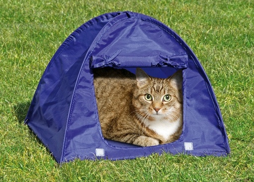 [BR_173571] Katten konijnen tent