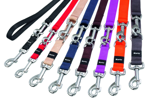 [BR_174027] *Art Sportiv Plus training leashes beige S1