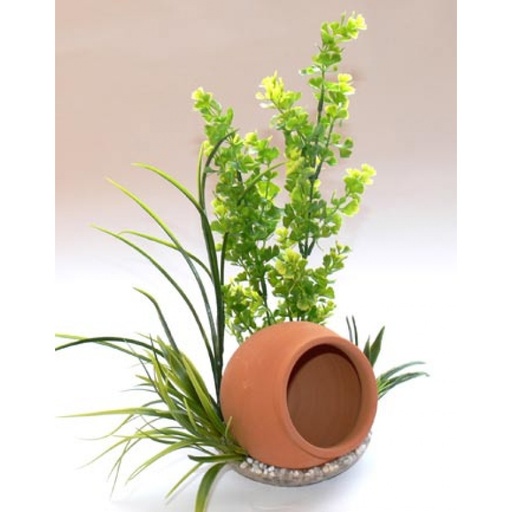 [BR_174216] Sydeco jar plant 35cm