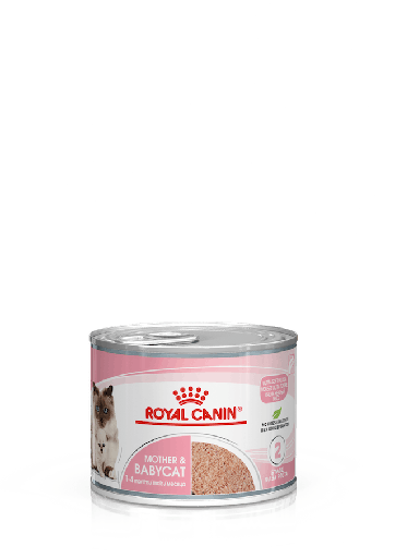 [390002] Royal Canin Mother & Babycat Mousse 195 gram