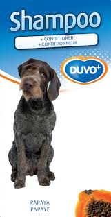 [BR_174259] Duvo Shampoo 2 in 1 250 ml