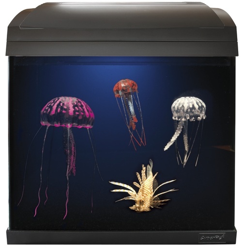 [BR_174293] # Aqua 40 Jelly Fish