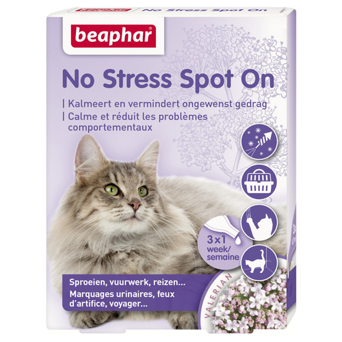 #!  No stress kat 3 pip.