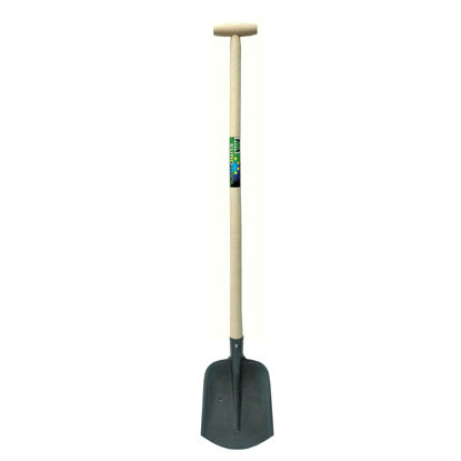[B0010] Bats EuroTool 00-100 cm
