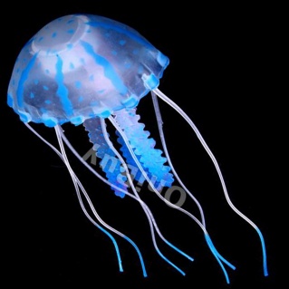 [BR_174967] Jelly Kwal groot paars