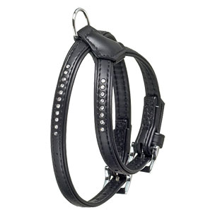 [BR_175003] Art leather tuig 11mm30- 37cm zwart