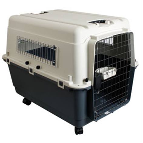 [513773] Reiskennel Nomad L ook vliegtuig