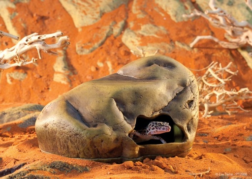 [BR_175454] Exo Terra Gecko Cave L