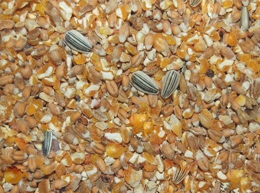[10251] * Pluimvee scharrel graan 20kg