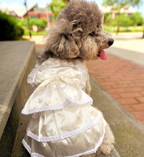 [BR_176399] Wedding dress white XS