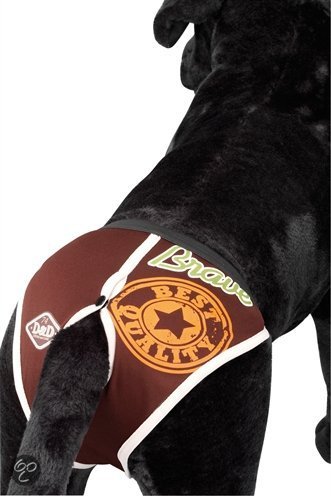[BR_176761] Dog Pants D&D Brave XL