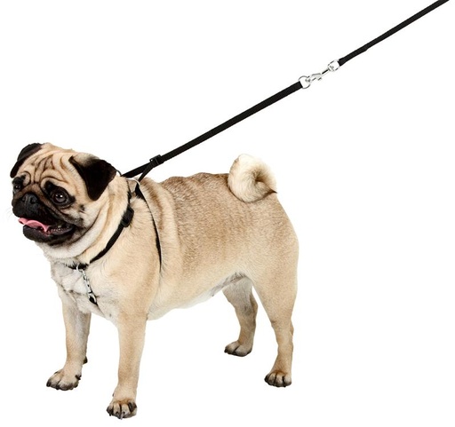 [BR_177113] Gentledog zwart 30-45 cm x 20mm