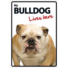 [BR_177176] Waakbord Bulldog Lives Here A5 Staand
