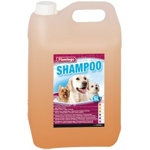 [BR_177589] KRUIDENSHAMPOO 5L