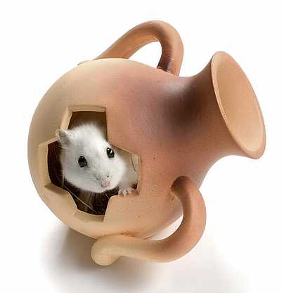 [BR_177642] Keramisch huisje vaas, 12cm met nestmateriaal