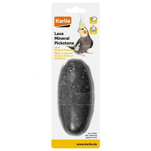 [BR_179431] Lavasteen 115G Bird's World