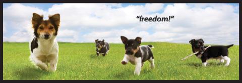 [BR_179934] Freedom beschermwand Piddle Place