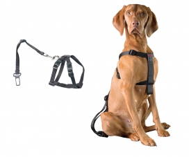 [BR_180108] D&D Dog-Secure XL