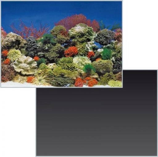 [BR_180571] SF deco poster nr 1 120x49 cm
