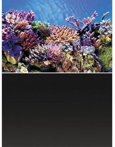 [BR_180574] SF deco poster nr 1 150x61cm