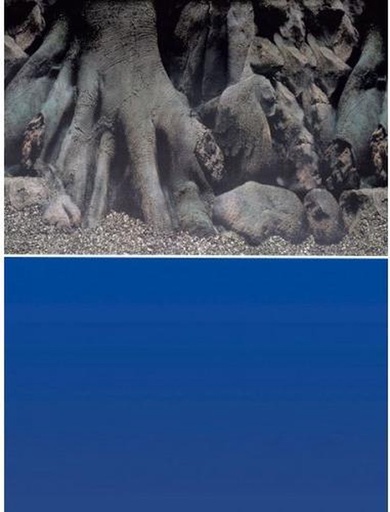 [BR_180586] SF deco poster nr 4 60x30cm