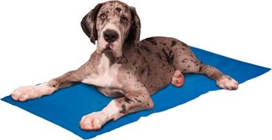 [514558] Koelmat Fresk XL 60x100cm cool