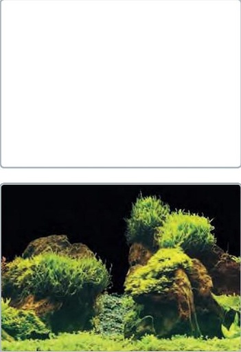[BR_180628] SF deco poster nr 2/B4 120x49cm
