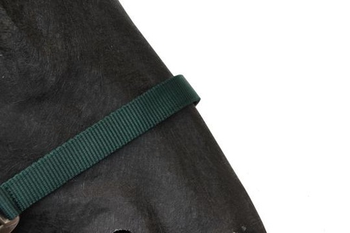 [BR_180636] Halster Classic Donkergroen small