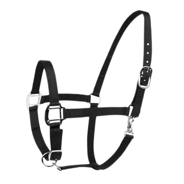 [BR_180639] Halster Classic zwart mini foal