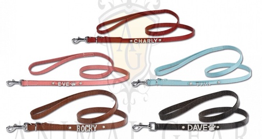 [BR_181140] Letterleash red/silver 120cm x 10mm